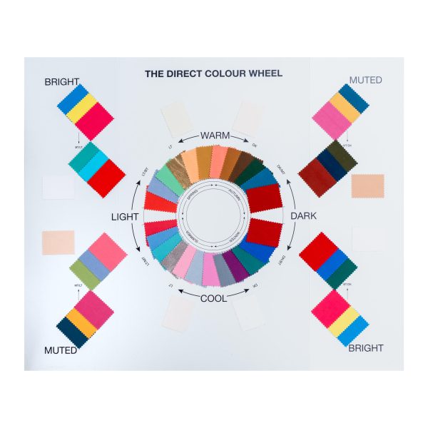 Direct Colour Training Wheel